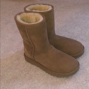 Chestnut uggs